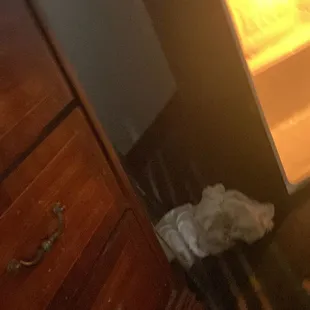 This was on the floor when we opened the door.