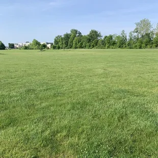 Green space