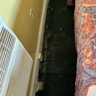 Mold next to bed, all along the floor.