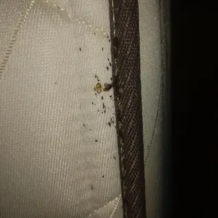 BEWARE!!!!  WORST Motel stay EVER!!! The Man at the front desk was 100% RUDE &amp; HATEFUL! Also BED BUGS EVERYWHERE! NO REFUND EITHER!