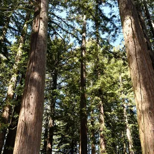 Roberts Park-OHS 70 Reunion