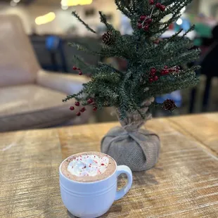 Peppermint Hot Chocolate