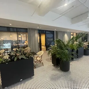 a view of a large open space with potted plants
