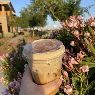 Vanilla cold brew with cinnamon and honey on top.