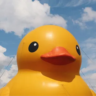 Timmy The Duck during Big Dam Party