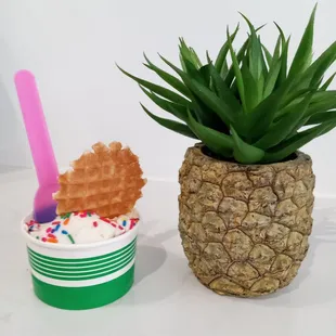 Vanilla Honey with Sprinkles