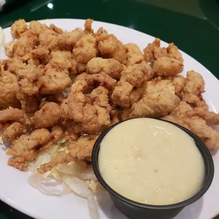 Gator bites