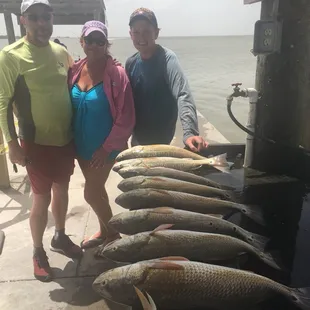 Gator Trout