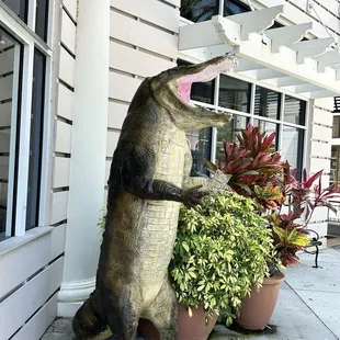 outside