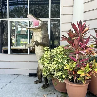outside