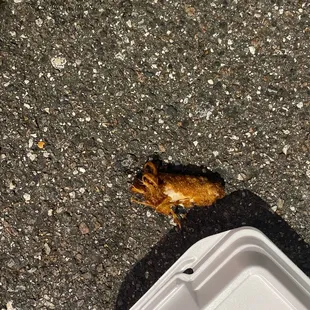 Weird piece of chicken