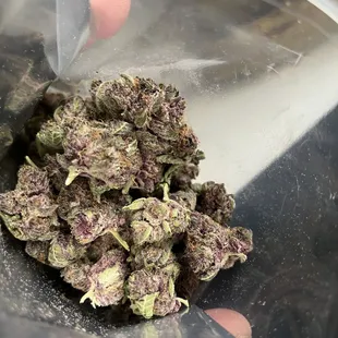 Gatsby Cannabis