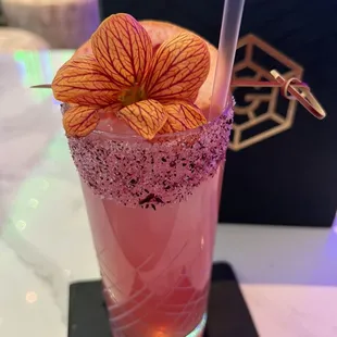 Hibiscus Paloma