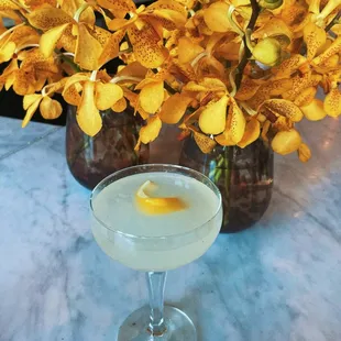 Gatsby&apos;s Cosmopolitan