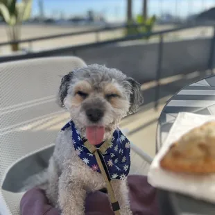 Smoked Short Rib Empanada