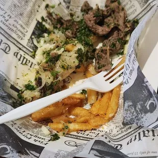 geilled beef chimmichurri fries
