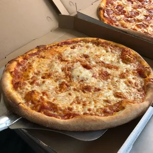 Large Cheese Pizza