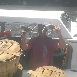 Fresh off the boat daily