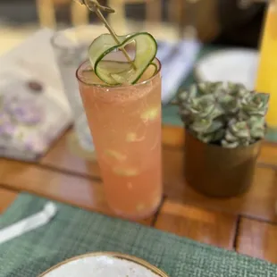 Watermelon Cucumber Collin's