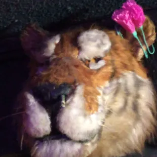 Club mascot