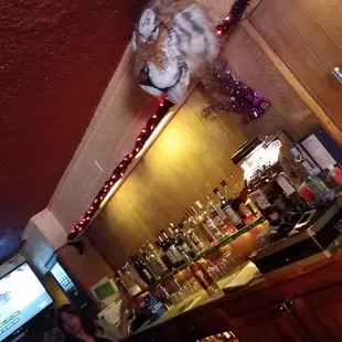 The lion.