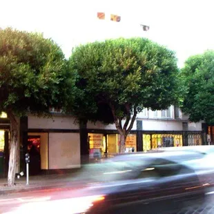 tucked away behind the traffic and the street trees