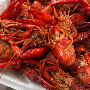 Yummy crawfish... And absolutely no wait!!!