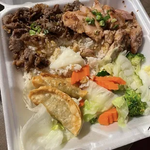 Teriyaki Combo Plate