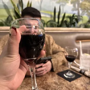 a person holding a glass of wine