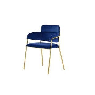 Modrest Tessa Modern Blue Velvet &amp; Gold Dining Chair (Set of 2)