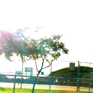 Geiger Community Park