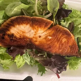 Grilled Salmon Salad