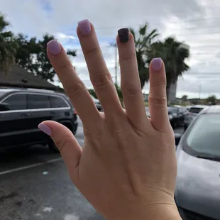 Plenty of color and design.