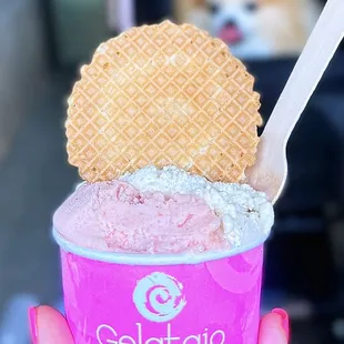 Watermelon Sorbet &amp; Tahitian Vanilla Gelato | Piccolo - $4.99