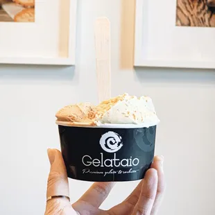 Medio cup (1-3 scoops)