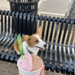 a person holding a cup of gelato