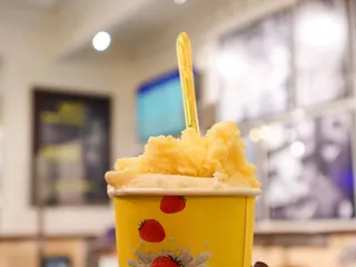 Vivoli Il Gelato