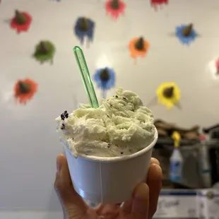 cherry hazelnut &amp; mint chip