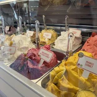 Gelatissimo's sorbet assortment