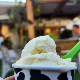 a hand holding a cup of ice cream