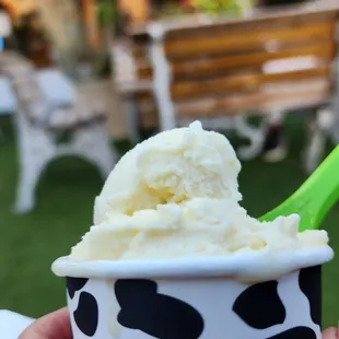 a hand holding a cup of ice cream