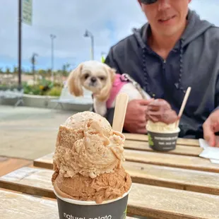 a man and his dog