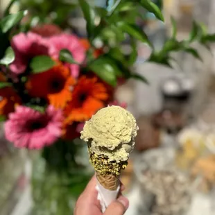 Pistachio gelato with chocolate pistachio dipped cone