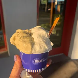 a hand holding a cup of ice cream