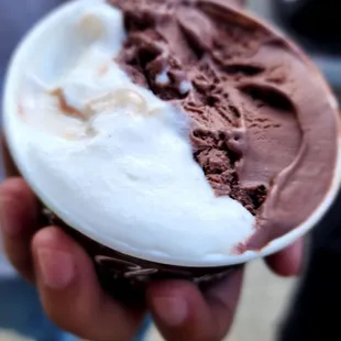 Chocolate Hazelnut and Cookie Dough