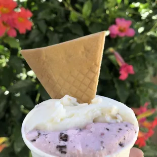 a hand holding an ice cream cone