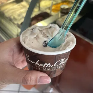 Mint Chip Gelato