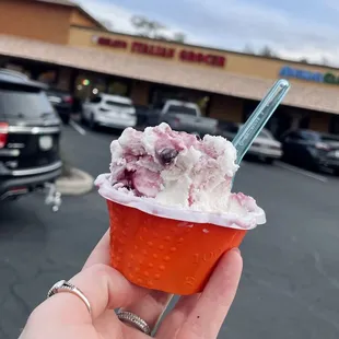 a hand holding a cup of gelato