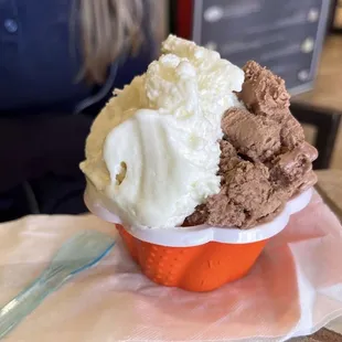 2 Flavor Medium Container Gelato