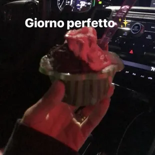 Raspberry and dark chocolate gelato